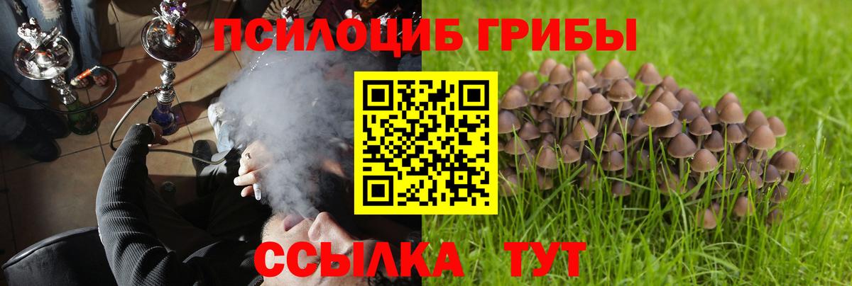 Ковров  Псилоцибиновые грибы Psilocybine cubensis  Вход с VPN  Псилоцибиновые грибы мухоморы 