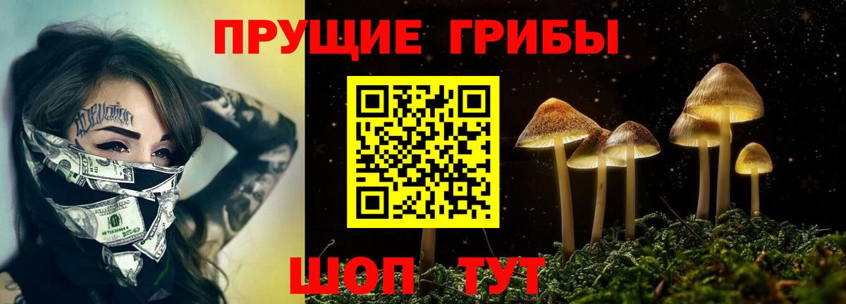 Галлюциногенные грибы Magic Shrooms Ковров